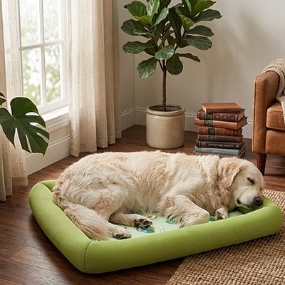 Tapis rafraichissant Chien | Confort Été - Le Chihuahua Voyageur