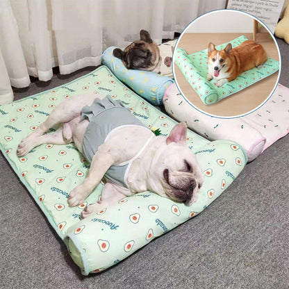tapis rafraichissant chien froid