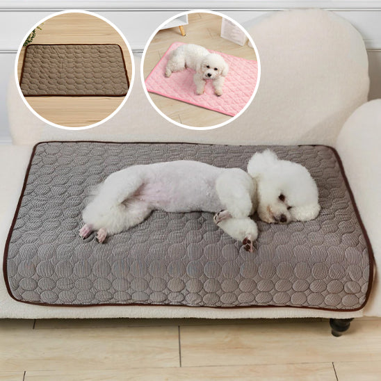tapis-rafraichissant-chien-refroidissant