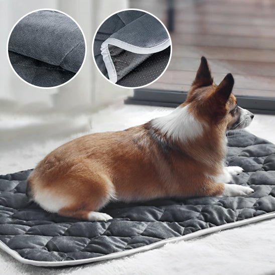 Tapis rafraichissant chien - soft - cool - Le Chihuahua Voyageur