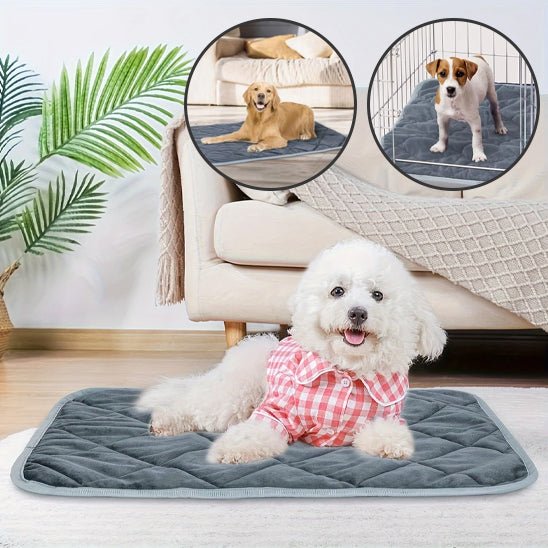 Tapis rafraichissant chien - soft - cool - Le Chihuahua Voyageur