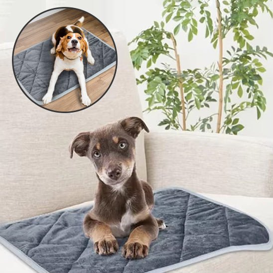 Tapis rafraichissant chien - soft - cool - Le Chihuahua Voyageur