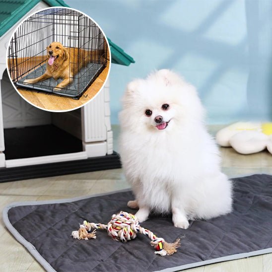 Tapis rafraichissant chien - soft - cool - Le Chihuahua Voyageur