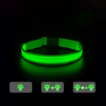 Collier lumineux Chien - LEDCollarDog™ - Vert