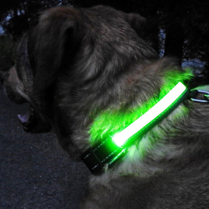 Collier lumineux Chien - LEDCollarDog™ - Vert