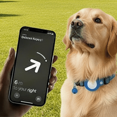 Traceur GPS chien | TrackPet XIAOMI