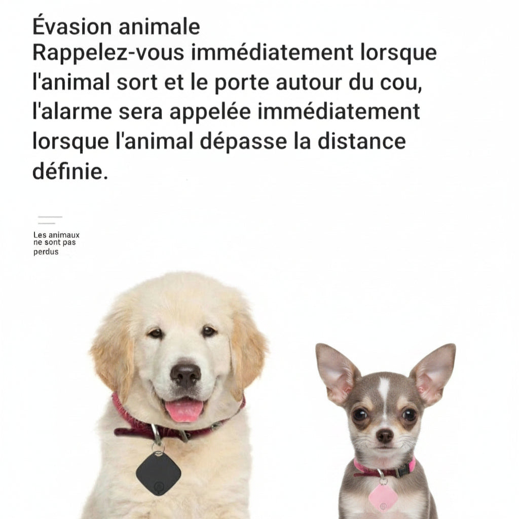 traceur gps chien sans abonnement | Ultra-léger anti perte