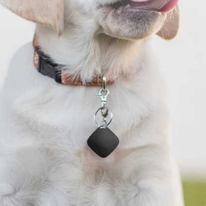 traceur gps chien sans abonnement | Ultra-léger chiot